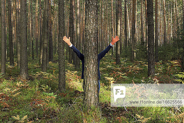 Mature woman with arms outstretched standing behind tree trunk in forest during autumn