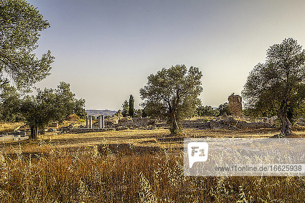 Antiker Apollon-Tempel bei Sonnenuntergang in Gortyn  Kreta  Griechenland