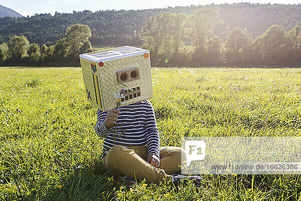 Junge mit Pappkarton im Gesicht  der eine Blume hält  während er im Gras auf einer Wiese sitzt