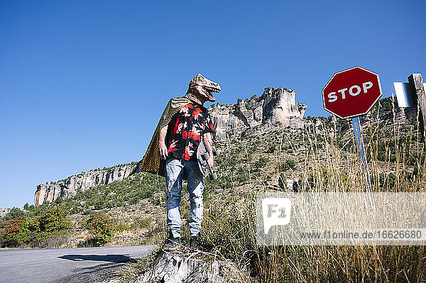 Mann mit Dinosauriermaske  der ein Skateboard hält  während er vor einem Stoppschild gegen den klaren Himmel steht