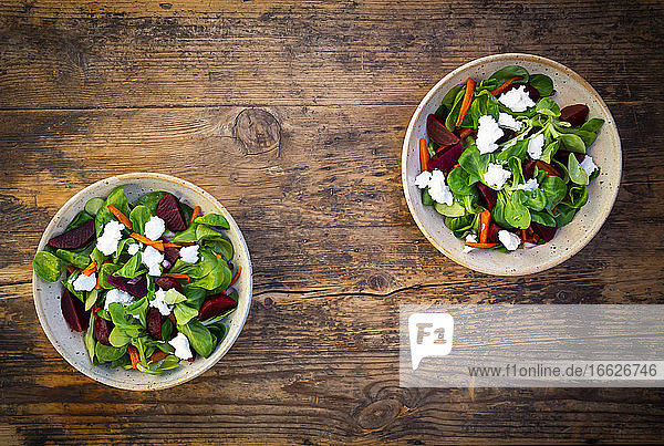 Zwei Schalen vegetarischer Salat mit gebratenen Karottenstreifen  Roter Bete  Feldsalat  Ziegenkäse und spanischen Zwiebeln