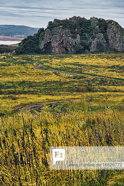 Scenic view of green landscape against sky  Krabbe Peninsula  Russia
