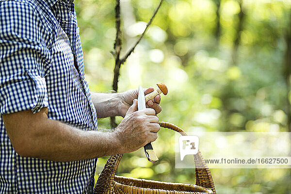 Nahaufnahme eines Mannes  der einen Pilz in der Hand hält  während er im Wald steht