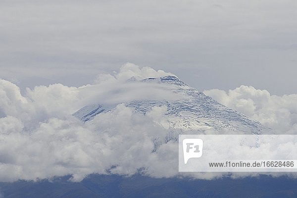 Vulkan Cotopaxi mit Wolken  bei Lacatunga  Provinz Cotopaxi  Ecuador  Südamerika