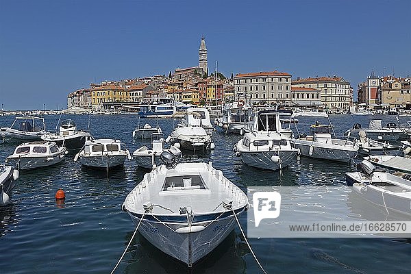 Hafen und Altstadt  Rovinj  Istrien  Kroatien  Europa