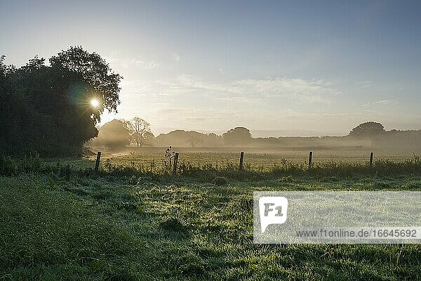 Ein nebliger, herbstlicher Sonnenaufgang über der Landschaft von North Somerset bei Wrington, England.