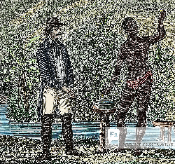 Geschichte der Sklaverei. Vorarbeiter  der die Suche nach Goldnuggets überwacht  die von Sklaven hergestellt wurden. Kupferstich  19. Jahrhundert. Farbig.