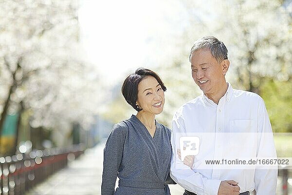 Japanese Senior Couple Smiling Outside