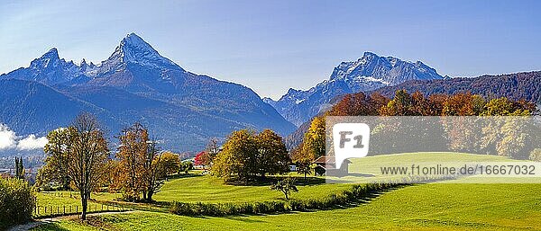 Herbstlandschaft  hinten die Gebirge Watzmann und Hochkalter  Berchtesgadener Alpen  Bischofswiesen  Berchtesgadener Land  Oberbayern  Bayern  Deutschland  Europa