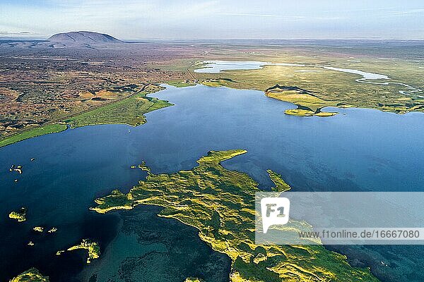 Aerial view of coast with green pseudo-craters  volcanic crater in volcanic plain in lake Mývatn  Skútustaðir  Norðurland eystra  Iceland  Europe