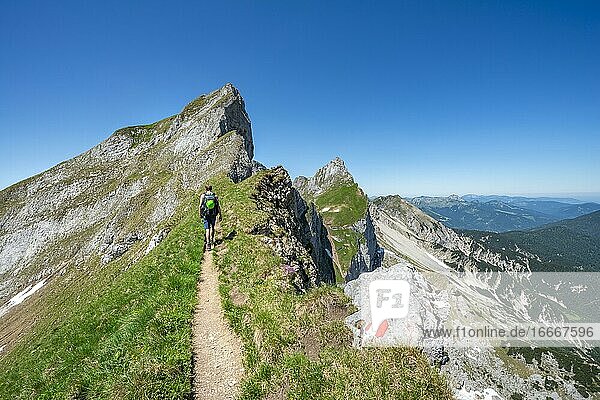 Wanderer auf einem Wanderweg  Seekarlspitze  5-Gipfel-Klettersteig  hinten Hochiss und Spieljoch  Wanderung am Rofangebirge  Tirol  Österreich  Europa