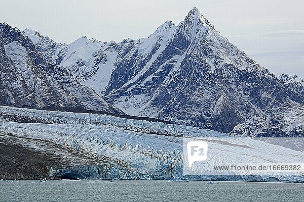 Gletscher an Fjord  Ostküste Grönlands  Dänemark  Europa