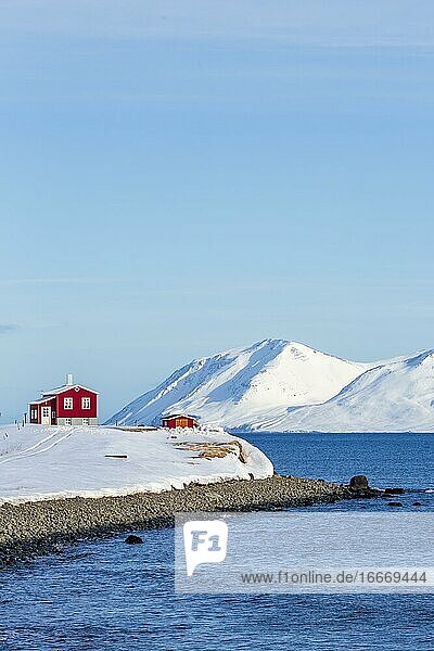 Einsames rotes Haus am Akureyrifjord  Island  Europa