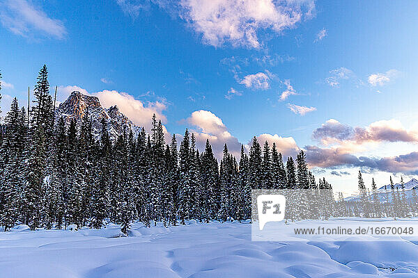 Winter-Wildnis-Szene beim Wandern in den verschneiten kanadischen Rocky Mountains.