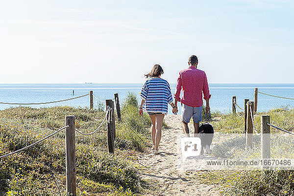 Back view of a young couple walking at beach with dog while holding hands