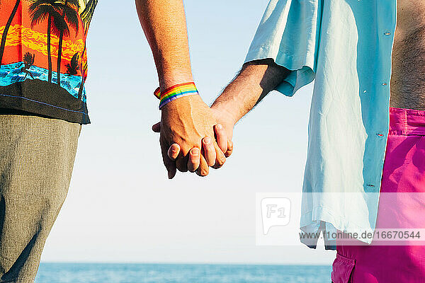 Zwei verliebte Männer  die sich am Strand an den Händen halten  Stockfoto.
