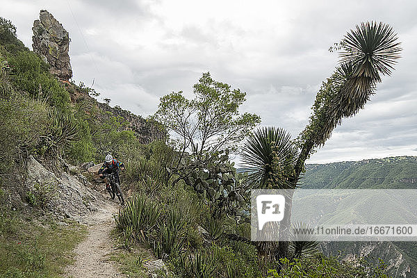 One person riding a mtb bike on a trail at a canyon in Peña del Aire