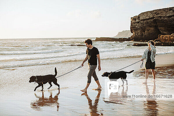 Paar mit Hunden  die am Strand spazieren gehen  romantischer Urlaub in Portugal