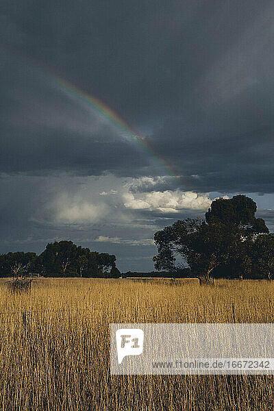 Regenbogen an einem regnerischen  dramatischen Himmel in den Graslandschaften des Grampians National Park  Victoria Australien