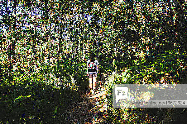 Frau mit Rucksack geht auf einem Pfad mitten im Wald