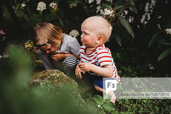 Blonde Jungen spielen barfuß im Garten und suchen nach Käfern