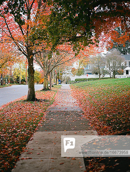 Suburban Neighborhood im Herbst mit Briefkasten und orange Blätter