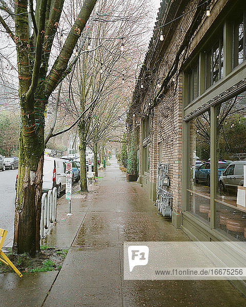 East Portland  Oregon rainy neighborhood sidewalk in springtime bloom