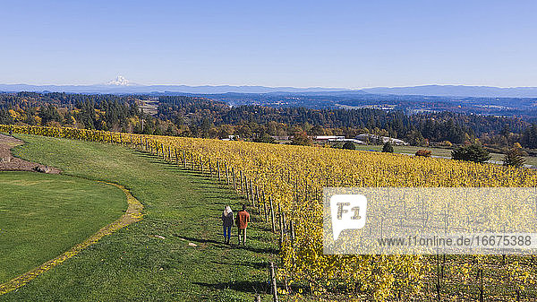 Ein junges Paar spaziert durch einen Weinberg auf einem Weingut in Oregon.