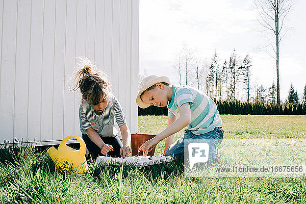 Kinder pflanzen Samen in Eierschalen im Garten zu Hause ein