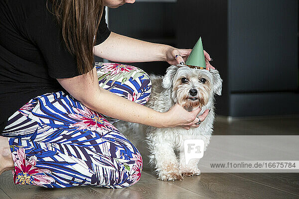 Eine Hundemutter rückt ihrem Geburtstagskind den Hut zurecht