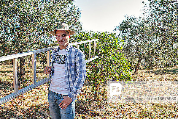 farmer takes the stairs to climb the olive trees