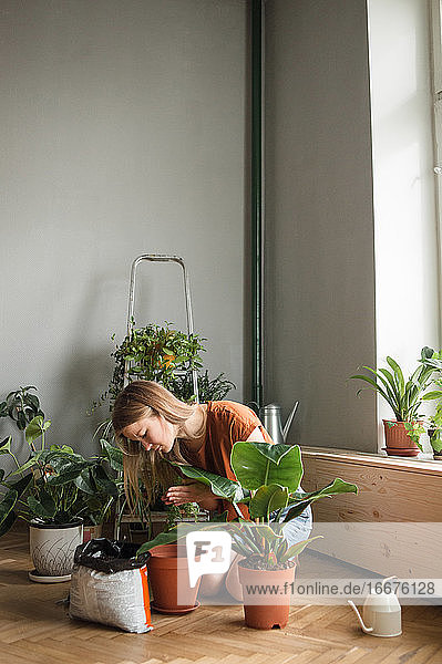 Frau schüttet Erde in einen Topf  während sie zu Hause kniend von Pflanzen umgeben ist