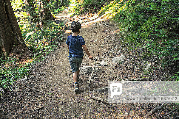Boy walking on a nature trail with a stick