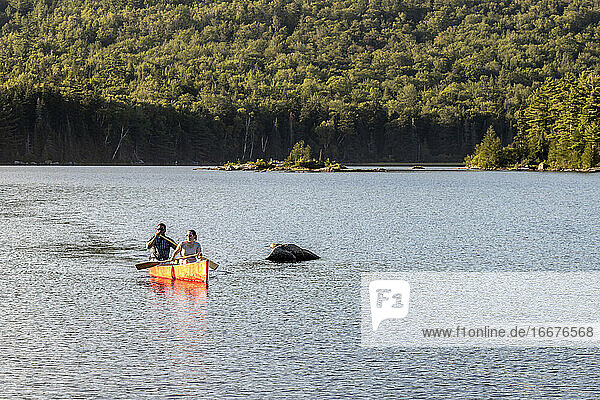 Mehrrassiges Paar paddelt mit dem Kanu über einen friedlichen See in den Wäldern von Maine