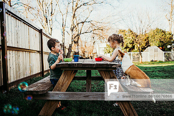 Bruder und Schwester beim Mittagessen am Picknicktisch mit Hund