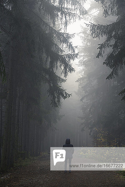 Rear view of woman in black jacket standing on path in dark eerie forest on misty morning  Central Bohemian Region  Czech Republic