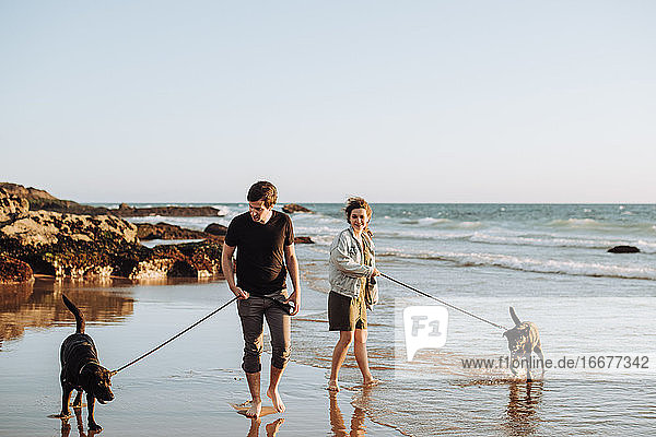 Happy couple with two labradors walking on shore at beach in Portugal