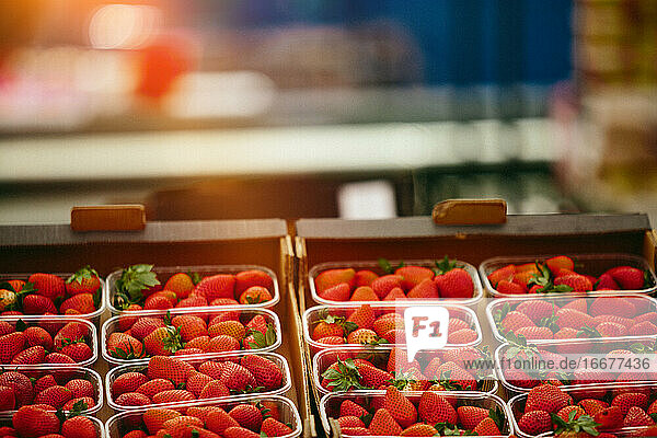 Erdbeeren auf dem Farmers' Market