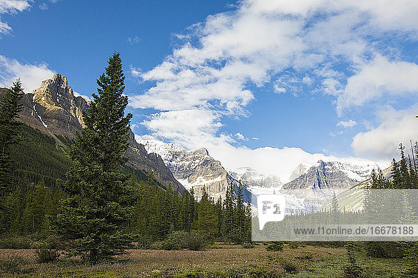 Blick auf die Rocky Mountains und den subalpinen Wald im Banff National Park.