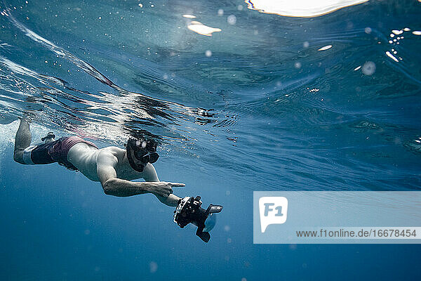 Underwater photographer spots something in the ocean of Hawaii