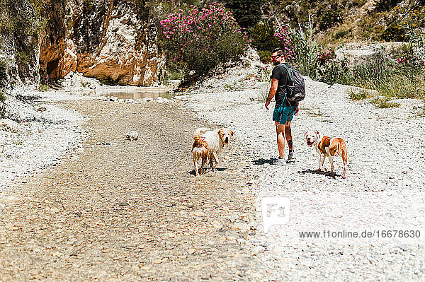Junger Mann wandert mit Hunden am Fluss