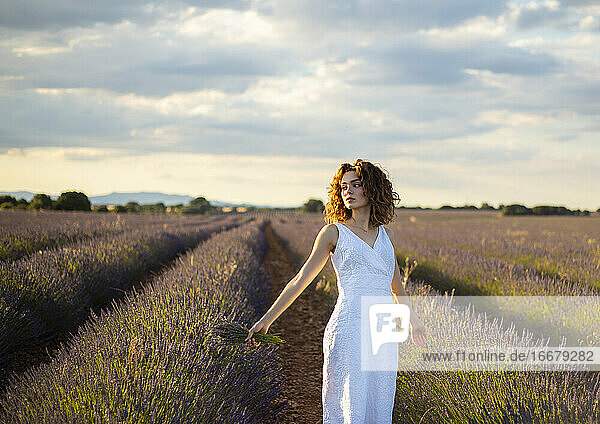 pretty woman in a lavender field