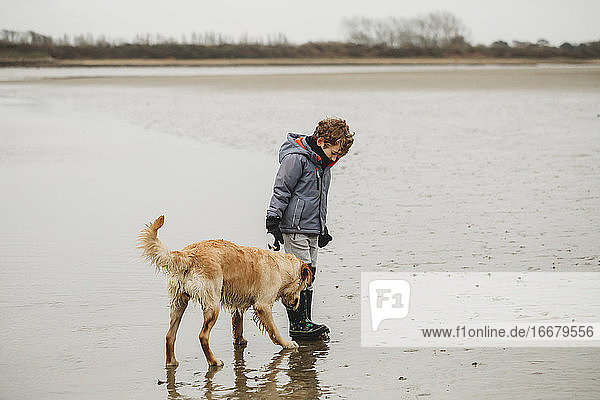 Cute boy and golden retriever labrador dog on beach