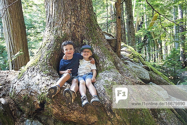 Porträt von zwei Freunden  die in einem Wurzelbereich eines alten Baumes sitzen.