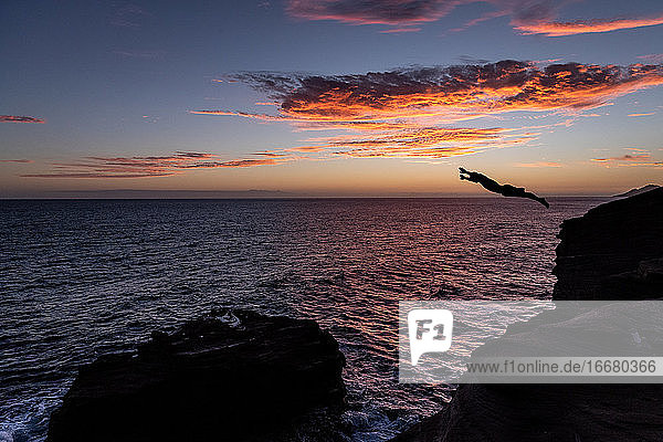 Klippenspringer über dem Meer bei Sonnenuntergang in Hawaii