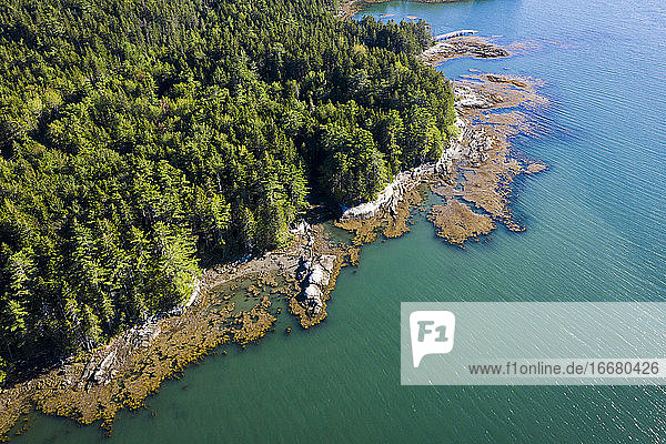 Luftaufnahme einer Drohne von der Küste von Maine bei Ebbe