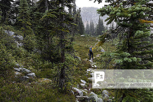 Rückenansicht eines männlichen Reisenden  der einen Wanderweg im Wald im Hochland entlang wandert