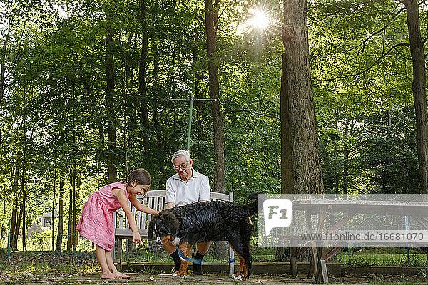 Ein kleines Mädchen und ihr Großvater spielen mit dem Familienhund draußen in der Sonne