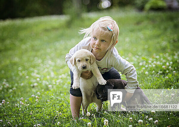 Kleines Mädchen spielt mit Lab-Welpen im Hof