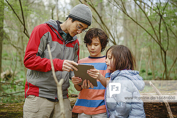 Ein Vater und seine Kinder schauen bei einem Waldspaziergang auf eine Tafel